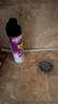 雷达（Raid）基孔肯雅热杀虫剂喷雾550ml*2瓶无香型杀虫气雾剂 蟑螂药 灭蟑螂 实拍图