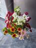 【七彩小雏菊】鲜切花混搭混色多头鲜花插瓶水养花期长七夕礼物 随机混色小雏菊50CM10枝 实拍图