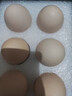 京鲜生鲜鸡蛋10枚/盒 健康轻食 营养健康1斤/盒 源头直发  实拍图