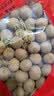 寿乡农场（SHOU XIANG FARM）桂圆干11A大桂圆带壳桂圆肉干广西博白龙眼干老树2026年新货 2026年头茬新果5斤囤货推荐 实拍图