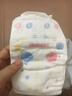 好奇（Huggies）金装纸尿裤M162片(6-11kg)尿不湿【速干不易红】 实拍图