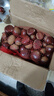 佳农宝菜 丹东板栗净重4.5斤大果单果28mm+栗香浓郁粉糯香甜源头直发 实拍图