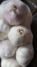 山东金乡蒜大蒜出口标准精选大蒜头蔬菜调料单果5cm 出口标准网兜装箱 460g 5cm+ 实拍图