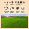 十月稻田 2025年新米 绿色食品 五常大米 10斤（香米 东北大米 5公斤） 实拍图