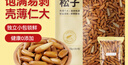 京东京造 手剥松子360g 巴西松子孕妇儿童每日坚果阿富汗新货零食送礼自营 实拍图