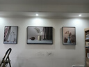 诗六艺家饰客厅装饰画北欧现代简约沙发背景墙挂画三联画大气轻奢壁画晶瓷画 瓶瓶安安（铝合金外框） 晶瓷画左右50*70+中间100*70亮面 实拍图