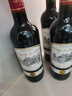 CANIS FAMILIARIS法国原瓶进口红酒整箱 波尔多AOC 传承干红葡萄酒节日礼品750ml*6 实拍图