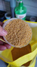 晋芗 山西黄小米 小黄米新米 月子米 小米粥量贩装 五谷杂粮 山西晋谷21号2.5kg*1袋 实拍图