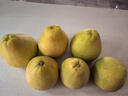 京鲜生 福建文旦柚 柚子 2粒装 净重2.4斤起 生鲜水果礼盒 实拍图