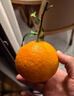 京鲜生 四川爱媛38号果冻橙8.5-9斤 单果80mm+ 新鲜带叶 源头直发包邮 实拍图