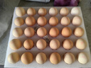 京觅富硒鲜鸡蛋 无抗生素  营养健康 30枚/盒3斤  源头直发 实拍图