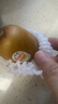 佳沛（zespri）新西兰  阳光金奇异果16粒礼盒经典果单果约 77-103g 水果 猕猴桃 实拍图