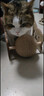 HELLOJOY逗猫咪玩具自嗨解闷猫抓板幼猫爪板小猫抓球耐抓不掉屑耐磨猫爬架 实拍图