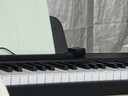 贝琪（Betsy）B351电钢琴88键重锤成人儿童电子钢琴家用练习初学者专业考级钢琴 B350-标准88键木纹黑 实拍图