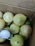 鲜青录广西黄金百香果钦蜜9号新鲜水果黄色白香果西番莲鸡蛋果 净重3斤（单果40-60g） 实拍图
