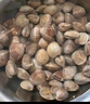 鲜京采 鲜活美贝 17-22粒/斤 净重5斤 蛤蜊花蛤生鲜海鲜 源头直发 实拍图