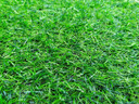 假草皮仿真草坪绿色地毯户外人造塑料人工仿生室外隔热围挡足球场 2厘米新升级加密优质春草 【1米宽/1米长】需要几米长拍几米（整卷25米） 实拍图