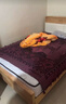 海马亦言床垫 席梦思天然乳胶椰棕独立弹簧五星级十大酒店双面加厚品牌 定制尺寸请联系 1.5x2.0米 实拍图