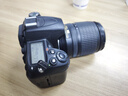 尼康/Nikon D7000 D7100 D7200 D500 D610 半画幅中端二手单反数码相机 D7000/18-105套机 95成新 实拍图
