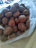 栗小胖新货迁西板栗生新鲜栗子生鲜迁西生栗子大油栗小毛唐山板粟 老树品种净重5斤 大果（实惠性价比高） 实拍图