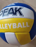 匹克比赛排球5号中考比赛专用排球儿童男女学生中考训练排球YQZ4201 实拍图