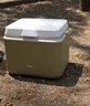 原始人 保温箱冰块冷藏箱户外露营旅行车载冰桶商用摆摊钓鱼小型便携 13L-配送冰晶盒+冰袋*8 实拍图
