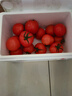 京鲜生 山东普罗旺斯番茄 净重4.5斤 单果125g+ 沙瓤西红柿 源头直发 实拍图