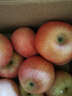 山东烟台红富士苹果新鲜水果当季正宗冰糖心栖霞平果整箱 净重4.5斤中果【75mm+】 实拍图