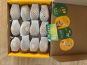 佳沛（zespri）新西兰 阳光金奇异果12粒礼盒特大果单果约122-146g 猕猴桃 水果 实拍图