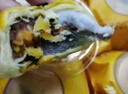 轩妈家短保桂花味蛋黄酥55g*6枚装中式糕点零食早餐源头直发包邮 实拍图
