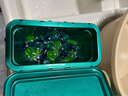 碧浪三腔洗衣凝珠草木清新10g*23颗盒装 7天抑菌10倍洁净力 实拍图