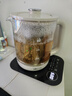 小熊（Bear）纯钛养生壶 煮茶壶煮茶器 炖煮一体烧水壶电热水壶 24H恒温 0胶水加大滤网 1.5L YSH-E15Z2 实拍图