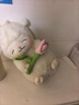 名创优品（MINISO）羊咩咩系列-暖白小羊公仔毛绒公仔玩具抱枕生日礼物女 抱郁金香款 实拍图