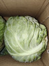 包菜新鲜卷心菜大头菜农户自种当季绿叶蔬菜绿甘蓝 绿甘蓝 3斤 实拍图