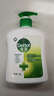 滴露（Dettol）洗手液松木500g瓶 健康抑菌消毒非补充装 儿童家庭用清爽去油 实拍图