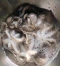 美加佳三去小章鱼净重2斤（500g*2袋）16-26只 去脏八爪鱼  实拍图