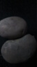内蒙红皮大土豆新鲜黄心土豆现挖洋芋地蛋马铃薯粉面火锅批发 红皮土豆大果 半斤 【单果150g+】 实拍图