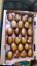佳沛（zespri）新西兰  阳光金奇异果巨大果22粒原箱 单果重约144-175g 猕猴桃 实拍图