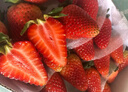 京鲜生 丹东99红颜奶油草莓 1.8斤礼盒装 300g*3盒 单果14-20g 生鲜水果 实拍图