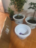 雅亭 鑫腾 环保优质简约塑料花盆 圆形加厚花盆园艺阳台托盘花盘 300型-口径26.5厘米 含托盘 实拍图