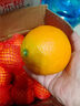 京鲜生 爱媛果冻橙 6斤装 单果150g起 生鲜水果礼盒 实拍图