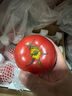 京鲜生 山东海阳普罗旺斯净重4.5斤单果150g起新鲜沙瓤西红柿源头直发 实拍图