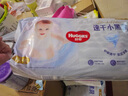 好奇（Huggies）金装拉拉裤L124片(9-14kg)尿不湿【速干不易红】 实拍图