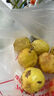 京鲜生 黄金百香果 2斤装 约13-15粒 单果约70g 酸甜钦蜜 新鲜水果 实拍图
