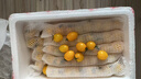 京鲜生 山东黄金圣女果 净重4.5斤 阳光小番茄现摘现发蔬菜源头直发 实拍图