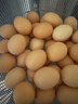 九華粮品散养土鸡蛋40枚 净重3斤 农家柴鸡蛋 笨鸡蛋 月子蛋 实拍图
