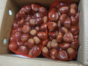 京鲜生 丹东新鲜板栗 净重4.5斤粉糯香甜单果27mm+ 人工精选 源头直发 实拍图
