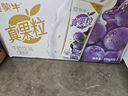 蒙牛真果粒葡萄味250g*12盒 小黄鸭IP定制装送礼盒装新老包装随机 实拍图
