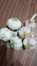 【营田半亩】蒜干蒜头蒜大蒜紫白皮大蒜当季蔬菜0.5-5斤 250克袋装【果径3.5-4.5cm】中果 实拍图