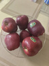 京鲜生 甘肃天水花牛苹果 又大又红 6粒尝鲜装 单果160-190g 生鲜水果  实拍图